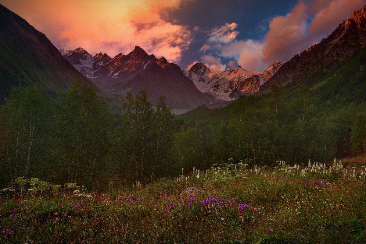 , Елена Брежицкая