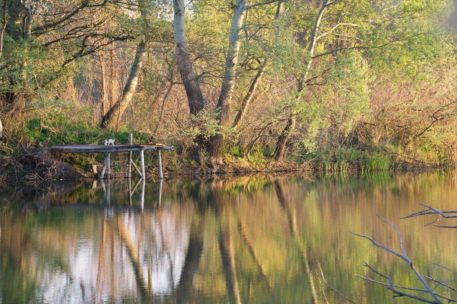 sony a6000,18-105/4 sony, Tihomir Petkov