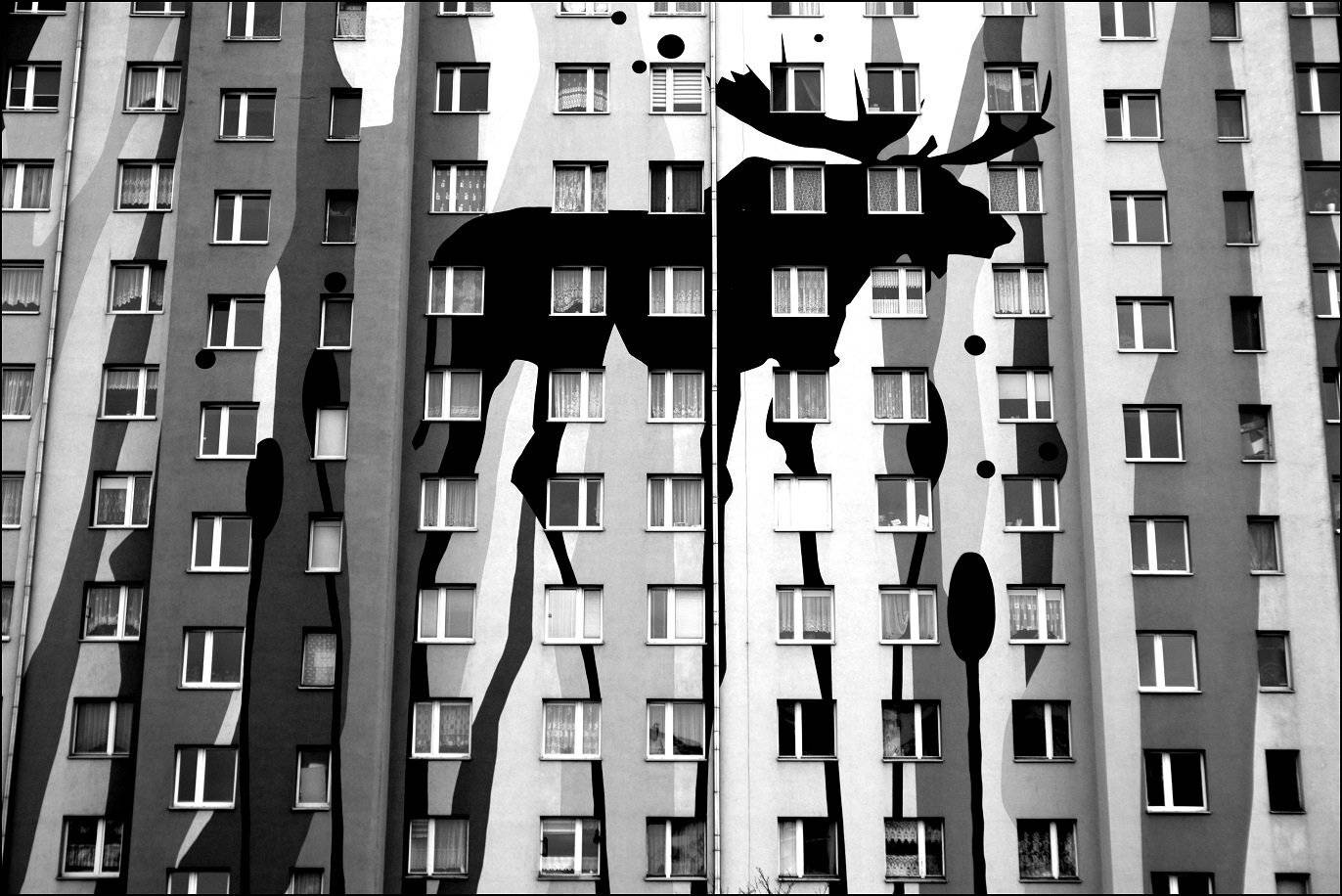 , Krzysztof Trojanowski