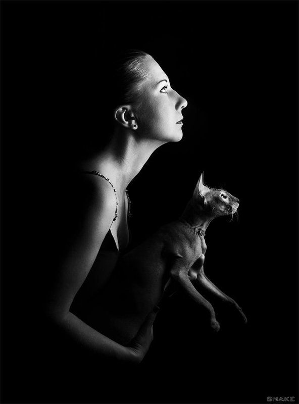 *** фото превью