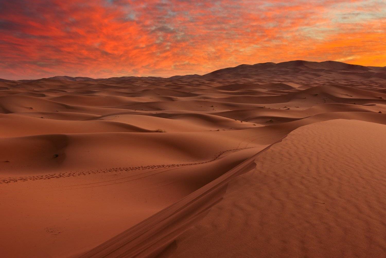 , Сергей Ершов