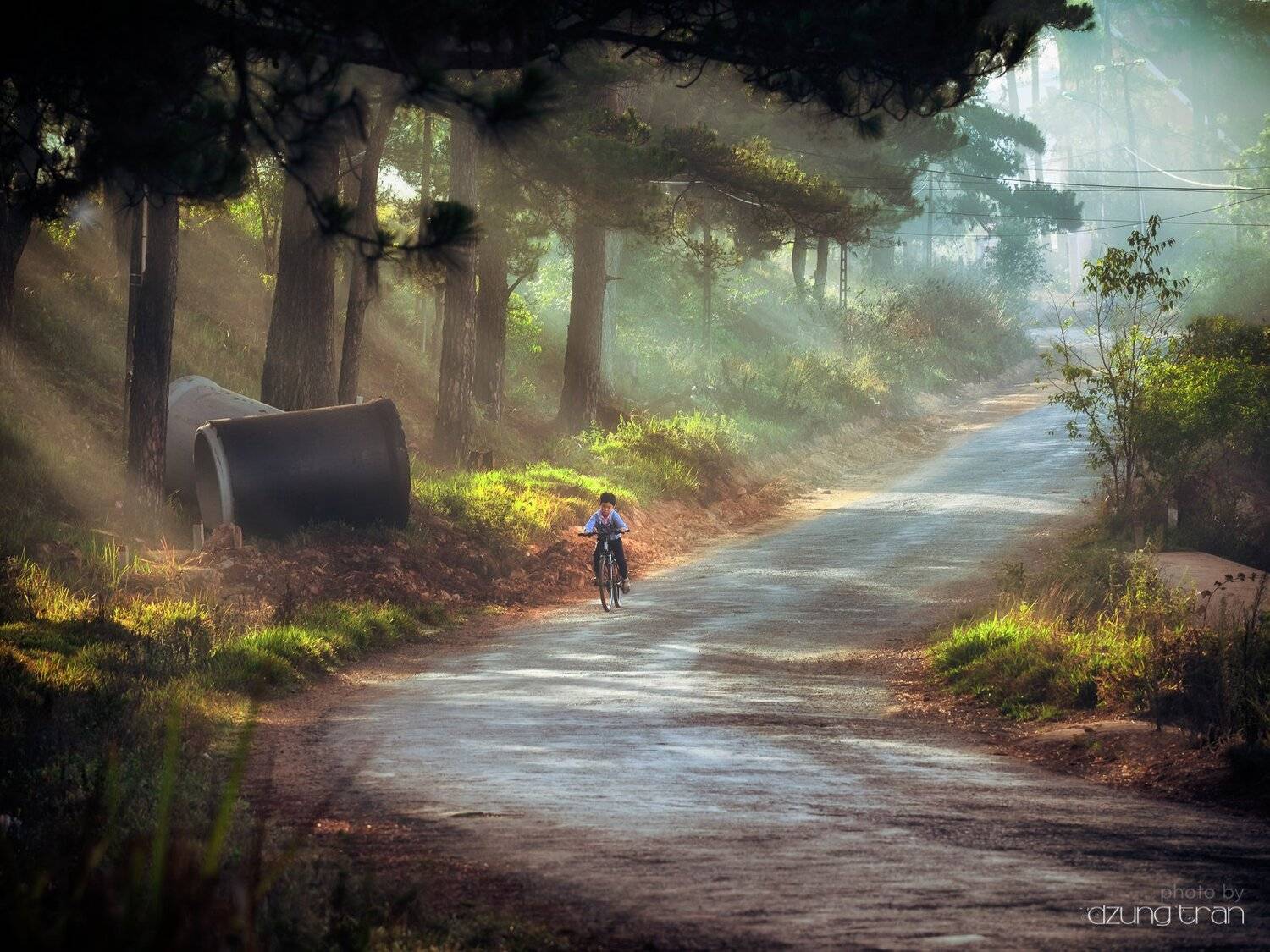 #little_boy, #sunny, #fog, #asleep, #dalat, #vietnam, Tran Minh Dung