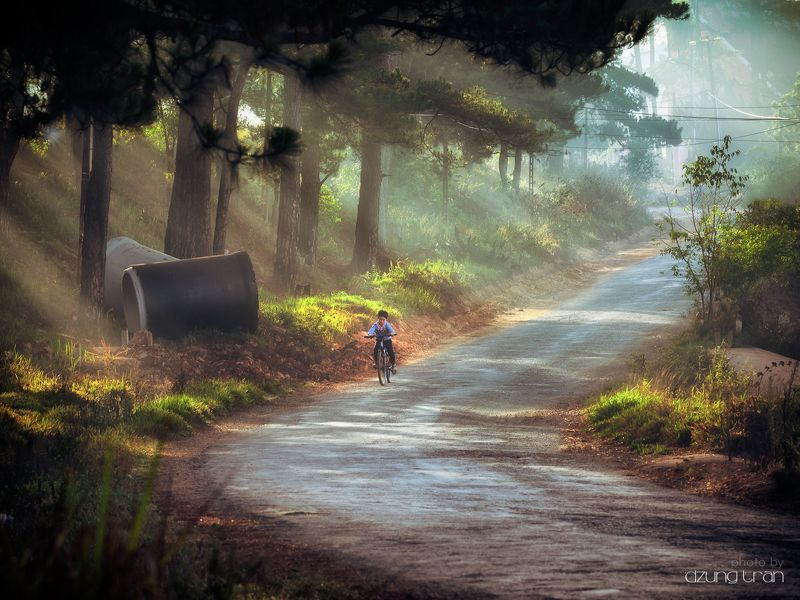 #little_boy, #sunny, #fog, #asleep, #dalat, #vietnam Sunny day фото превью