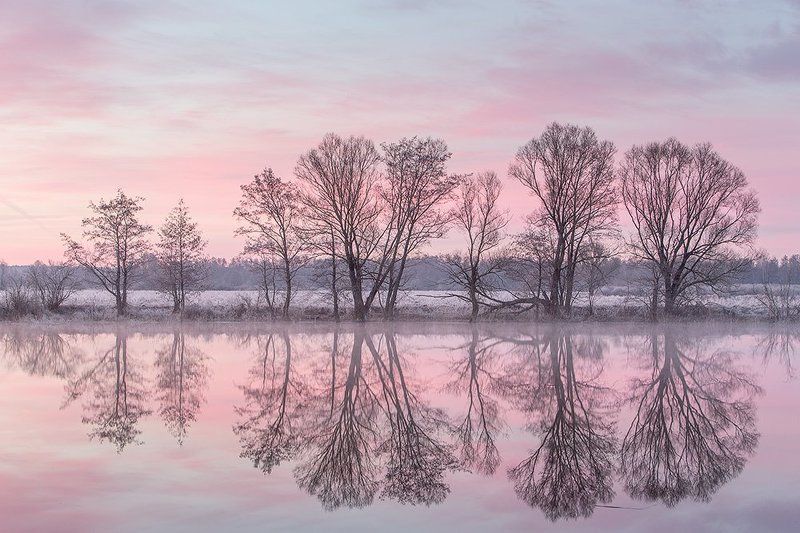 Нежное утро. фото превью
