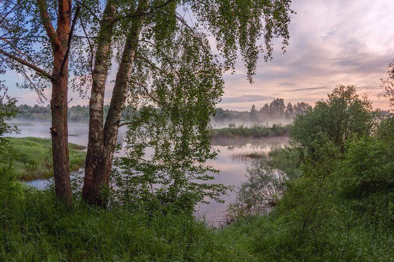 про легкий июньский рассветный туман...) фото превью