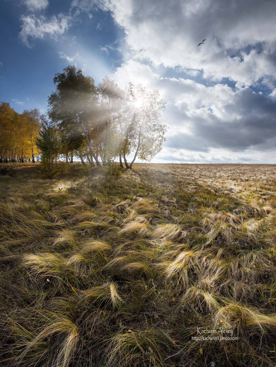 орск оренбургская обл. качурин, Качурин Алексей