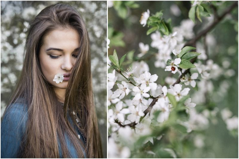 Spring фото превью