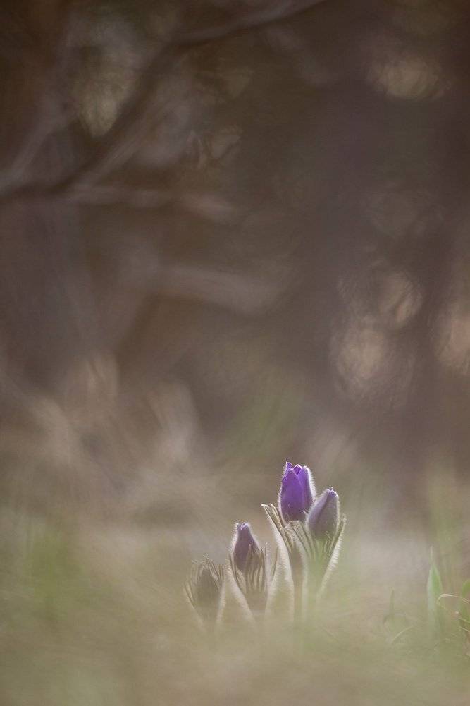 , Иваненко Светлана