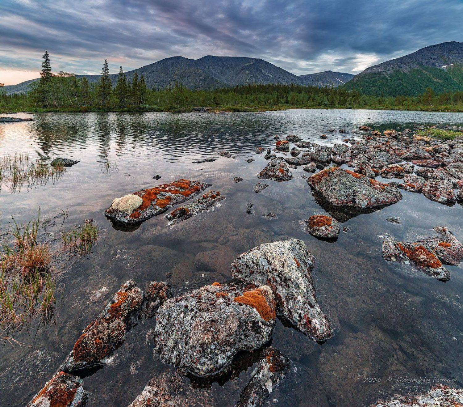хибины, лето, кольский, заполярье, север, ночь, полярный день,, Роман Горячий