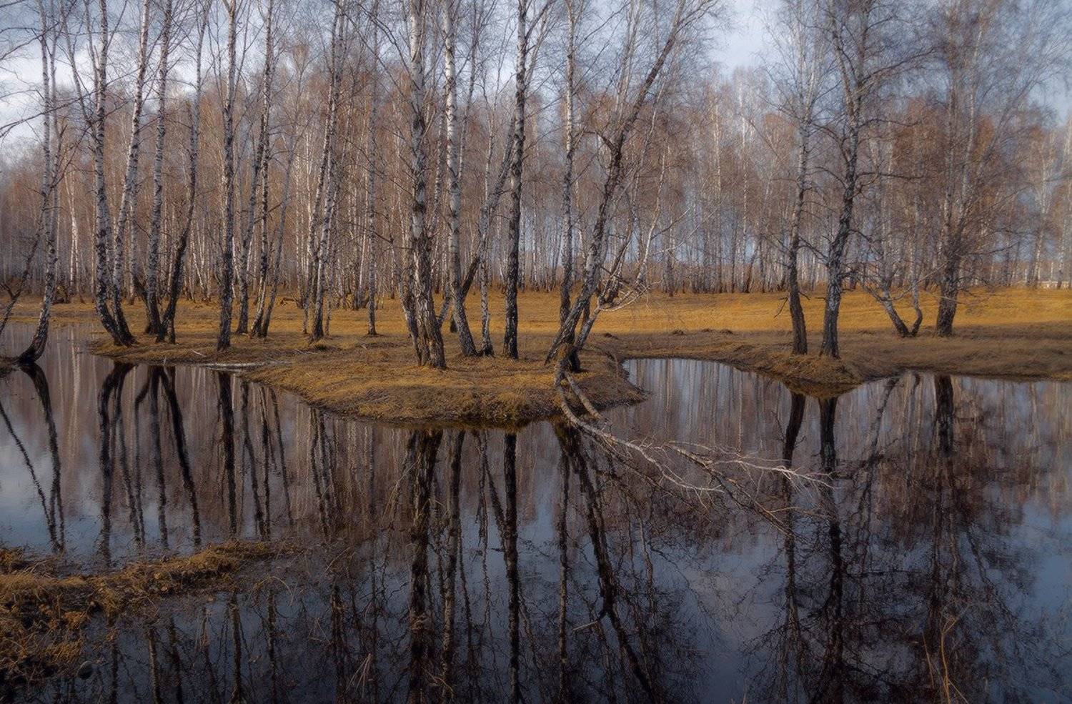 , Николай Морский