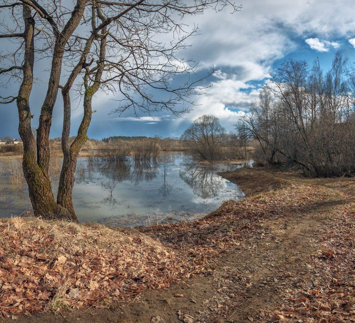 , Николай Андреев