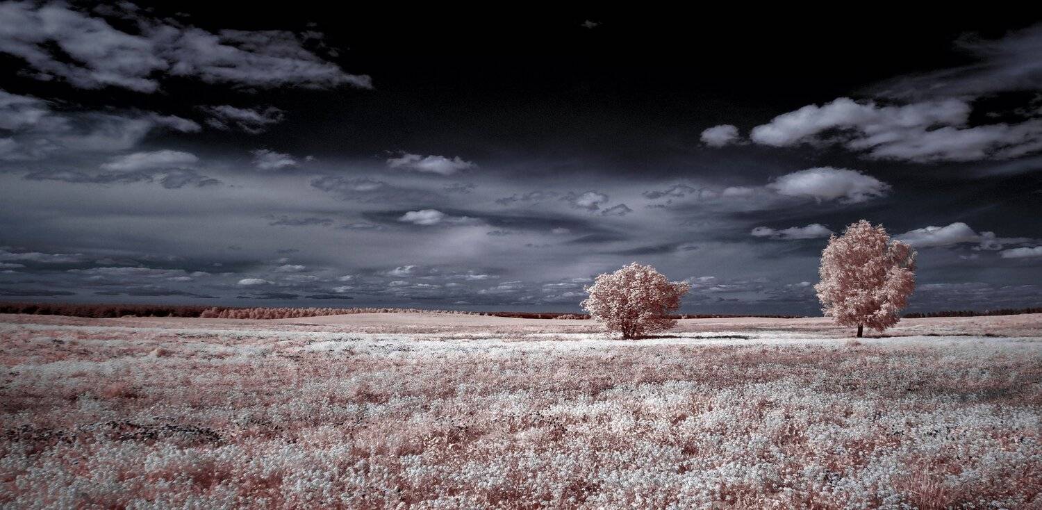 infrared,ик-фото,инфракрасное фото,инфракрасная фотография,пейзаж,природа,беларусь,весна, Sixten ( Сергей )