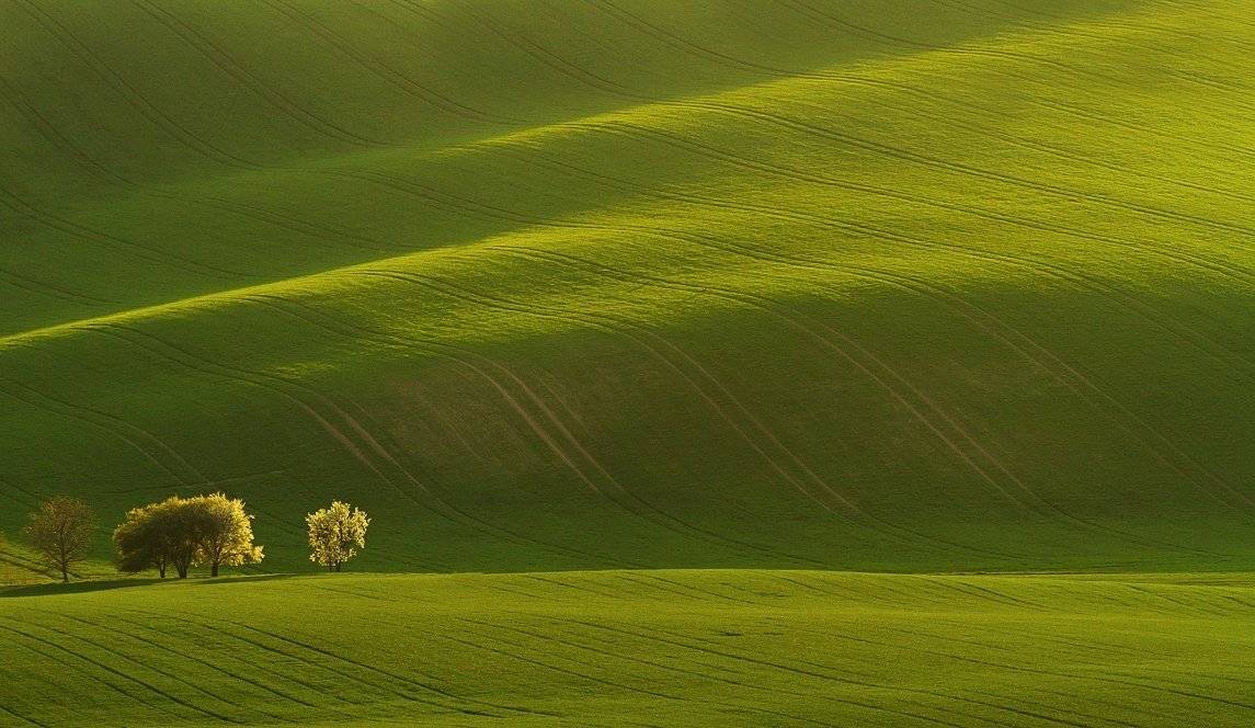Moravia Tuscany springtime, Franti&scaron;ek Uhler
