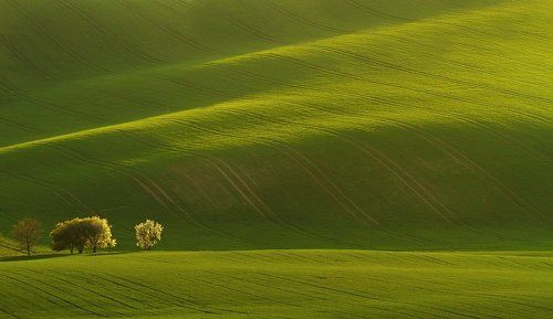 Moravian tuscany