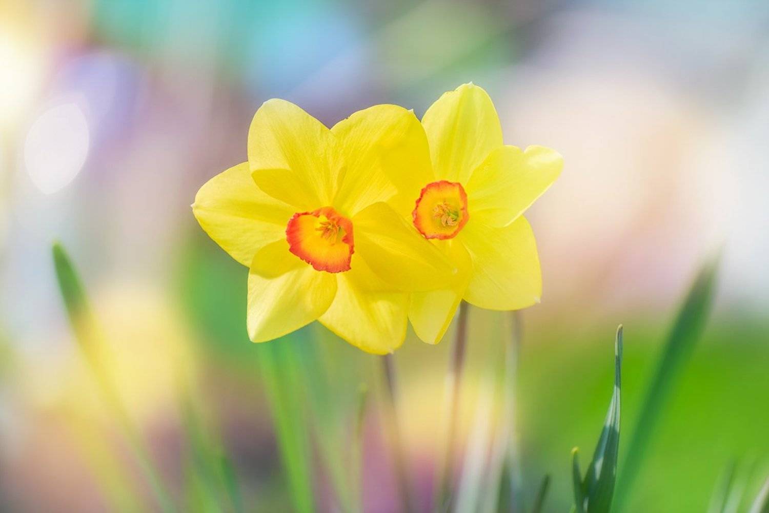 , antrisolja - Татьяна Татаренок