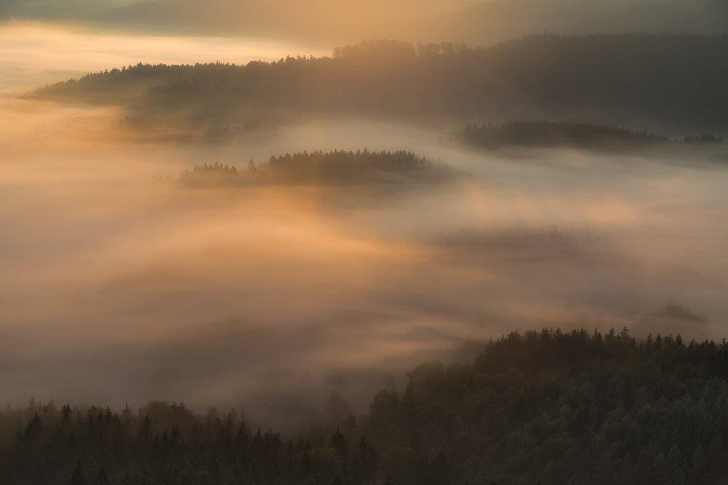 landscape,canon,light,autumn, Iza,Darek
