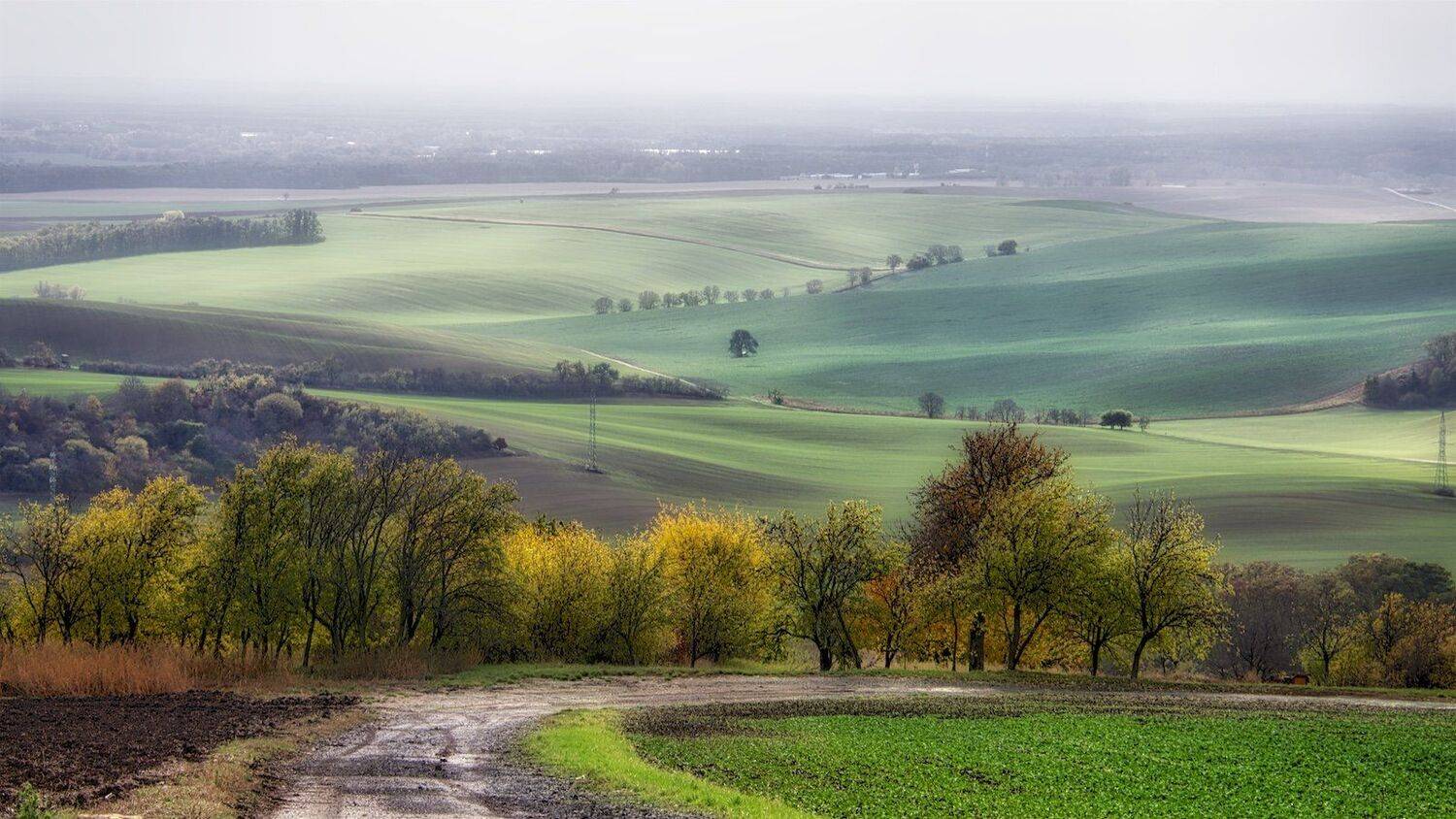 , Эдуард Горобец