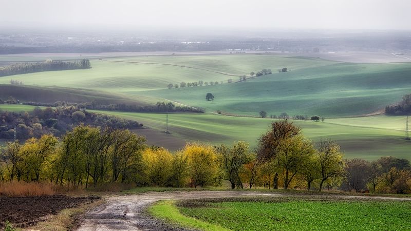 Kuna 3 фото превью