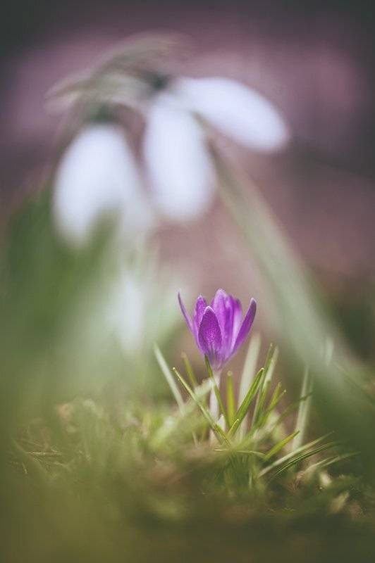 , Татьяна Аверина