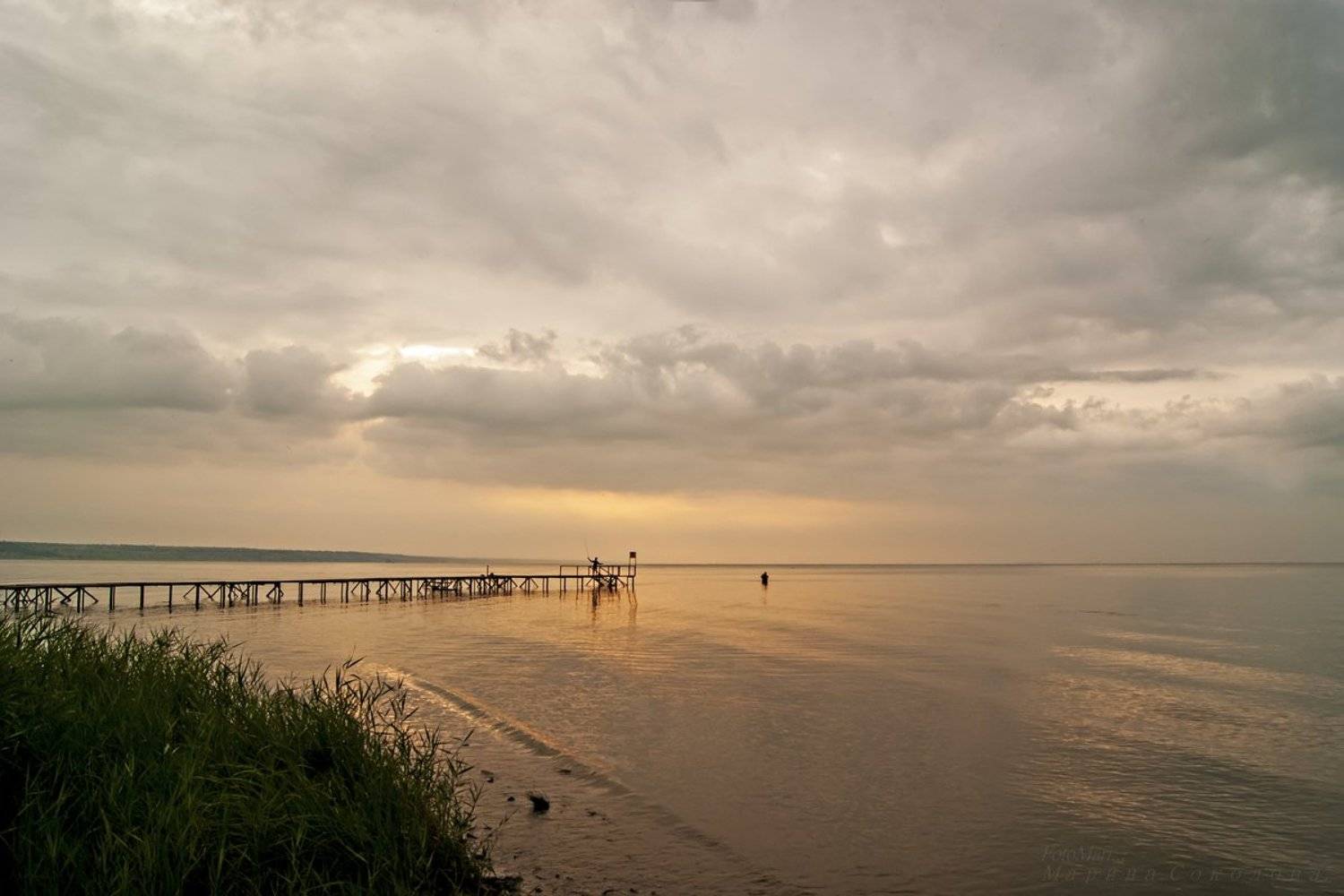 , Марина Соколова