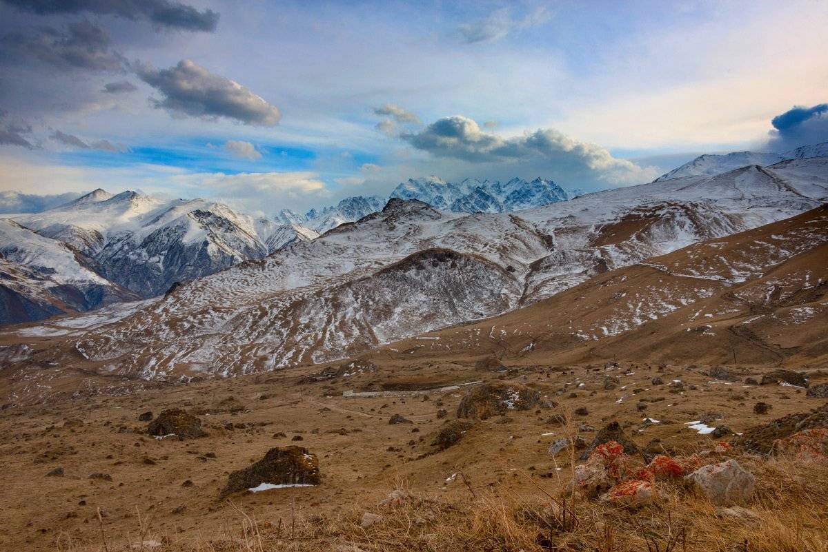 , Елена Брежицкая