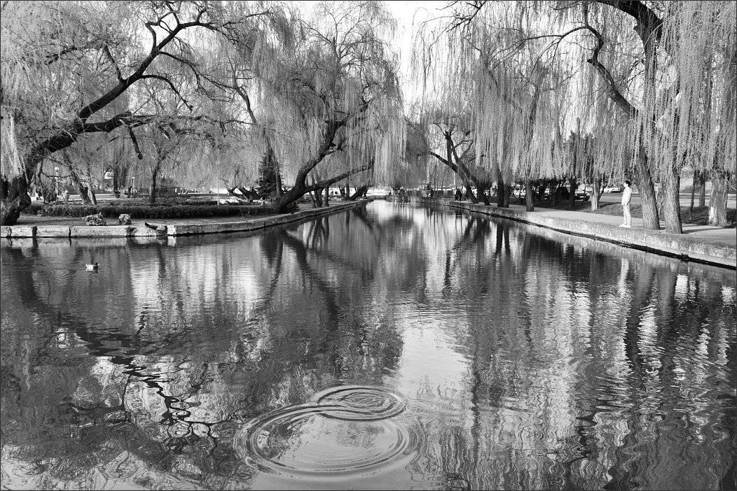 , Сергей Фудиненко