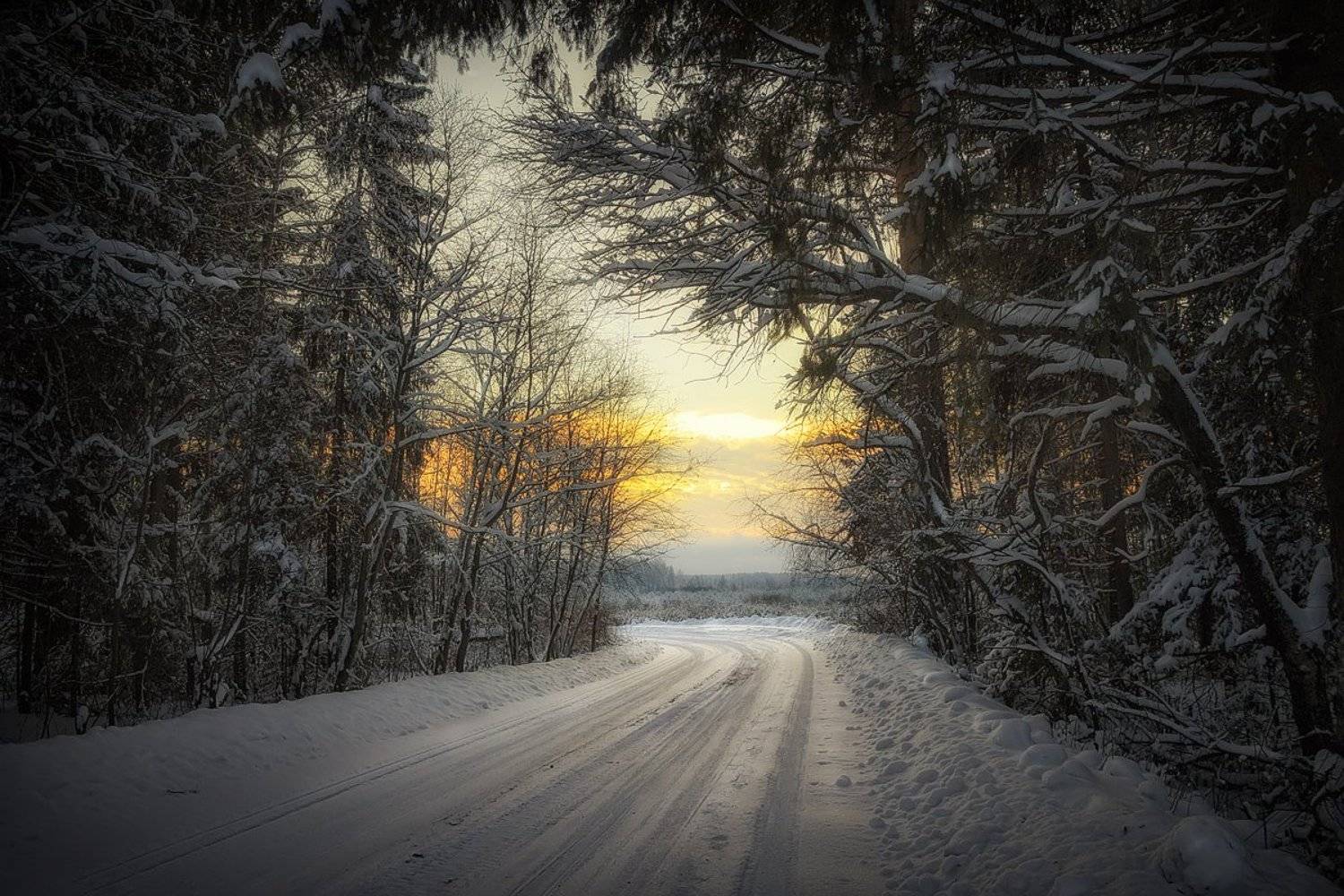 , Пушкарев Николай