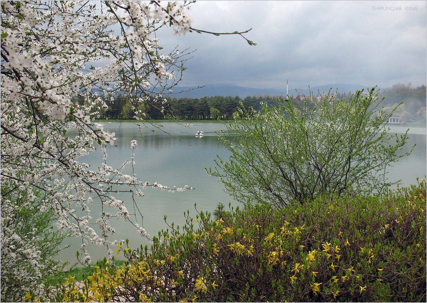 , Шипунова Ирина