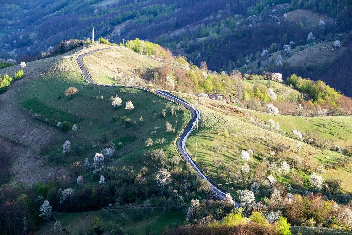 spring,colors,nature,romania,road,, Marius Turc