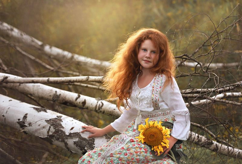 Подсолнух. фото превью