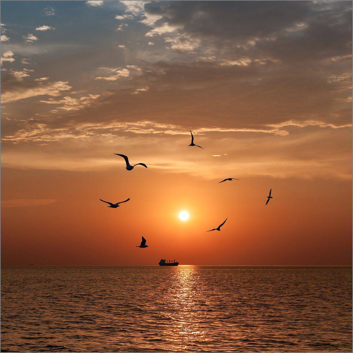 , Юрий Чернов