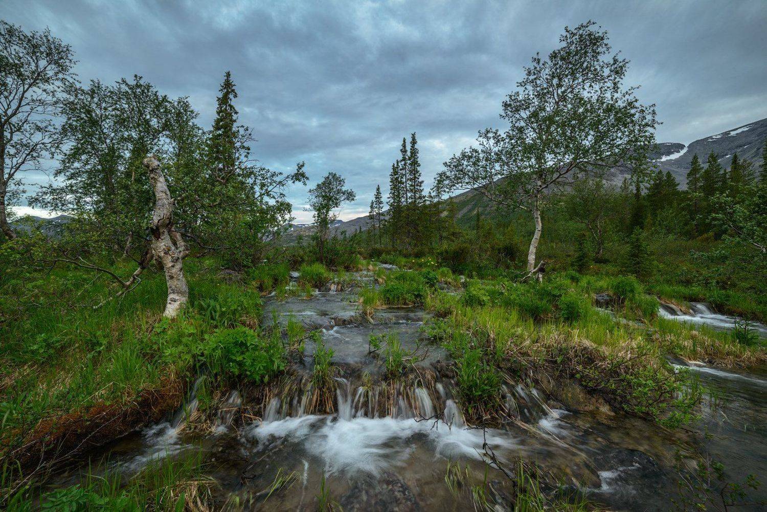 хибины, лето, кольский, заполярье, север, ночь, полярный день,, Роман Горячий