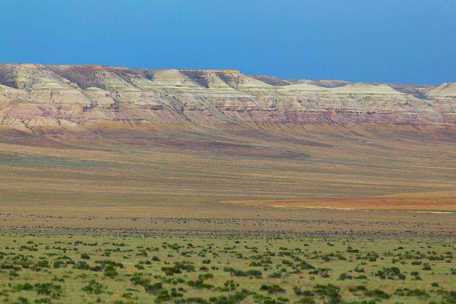 , Павел Сагайдак