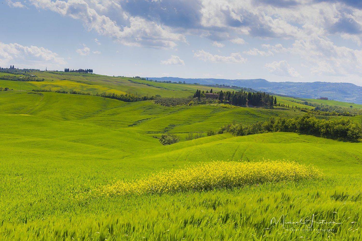 spring,toscan,italy, green, wheat, velvet,flowers, sky,blue,cypress, Michael Latman