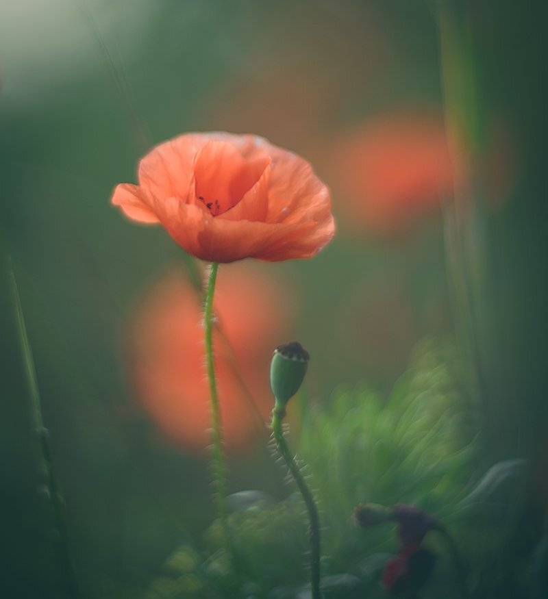 , Татьяна Аверина