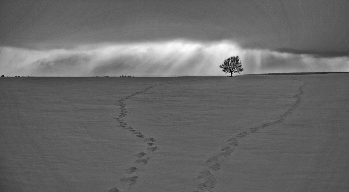 , Валерий Кондратов