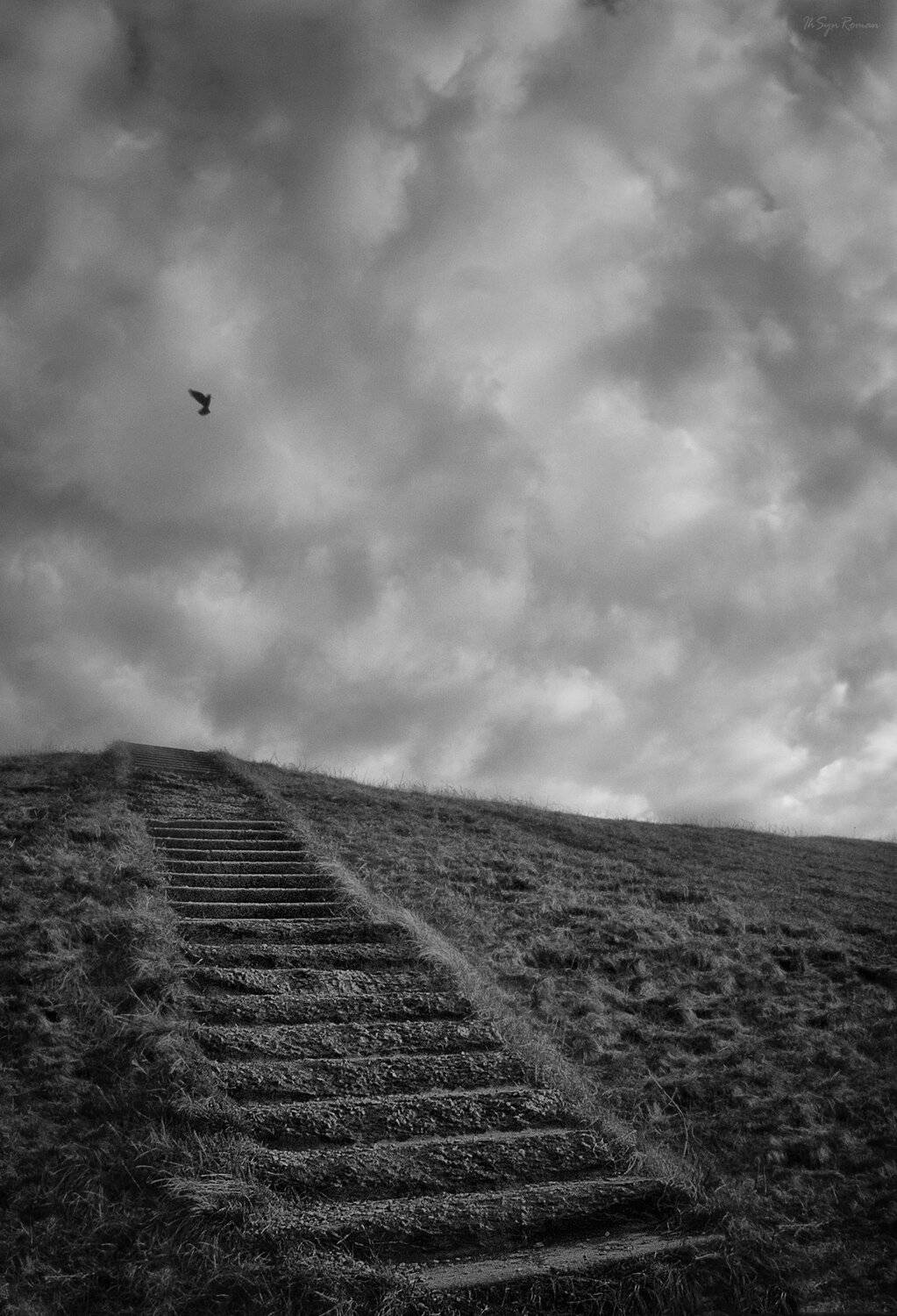 небо,птичка,лестница, Roma Krasov ( Chitinskiy )