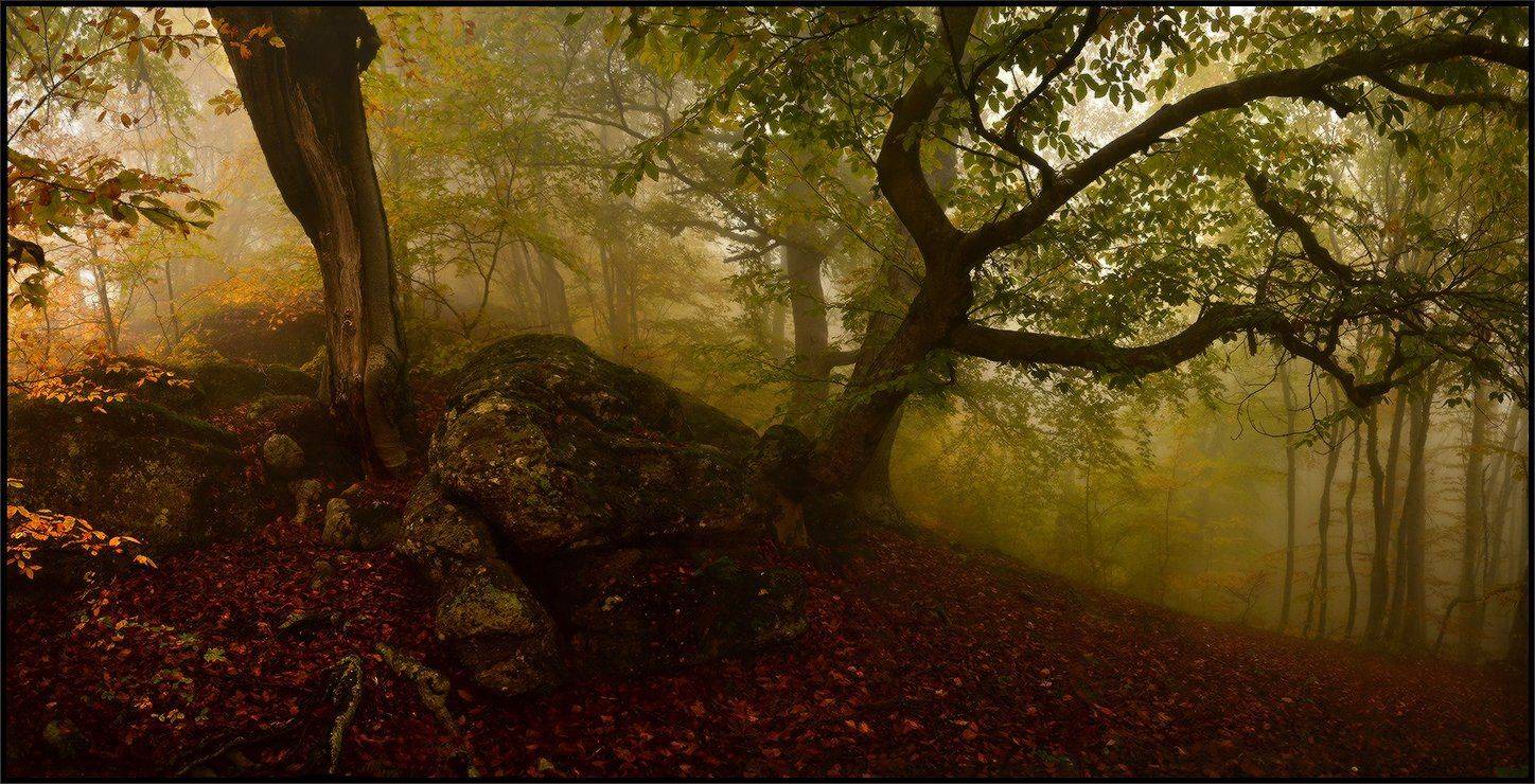 , Владимир Метцгер