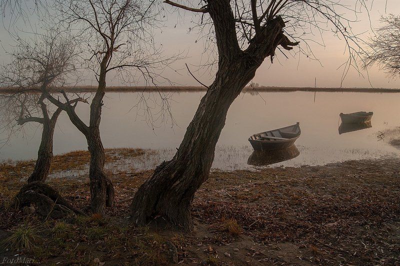 Нежные краски заката. фото превью