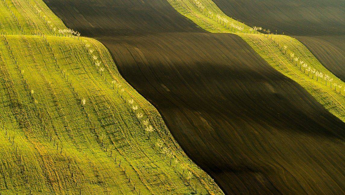 , Franti&scaron;ek Uhler