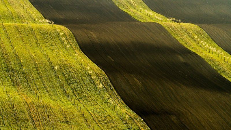Moravian slides фото превью