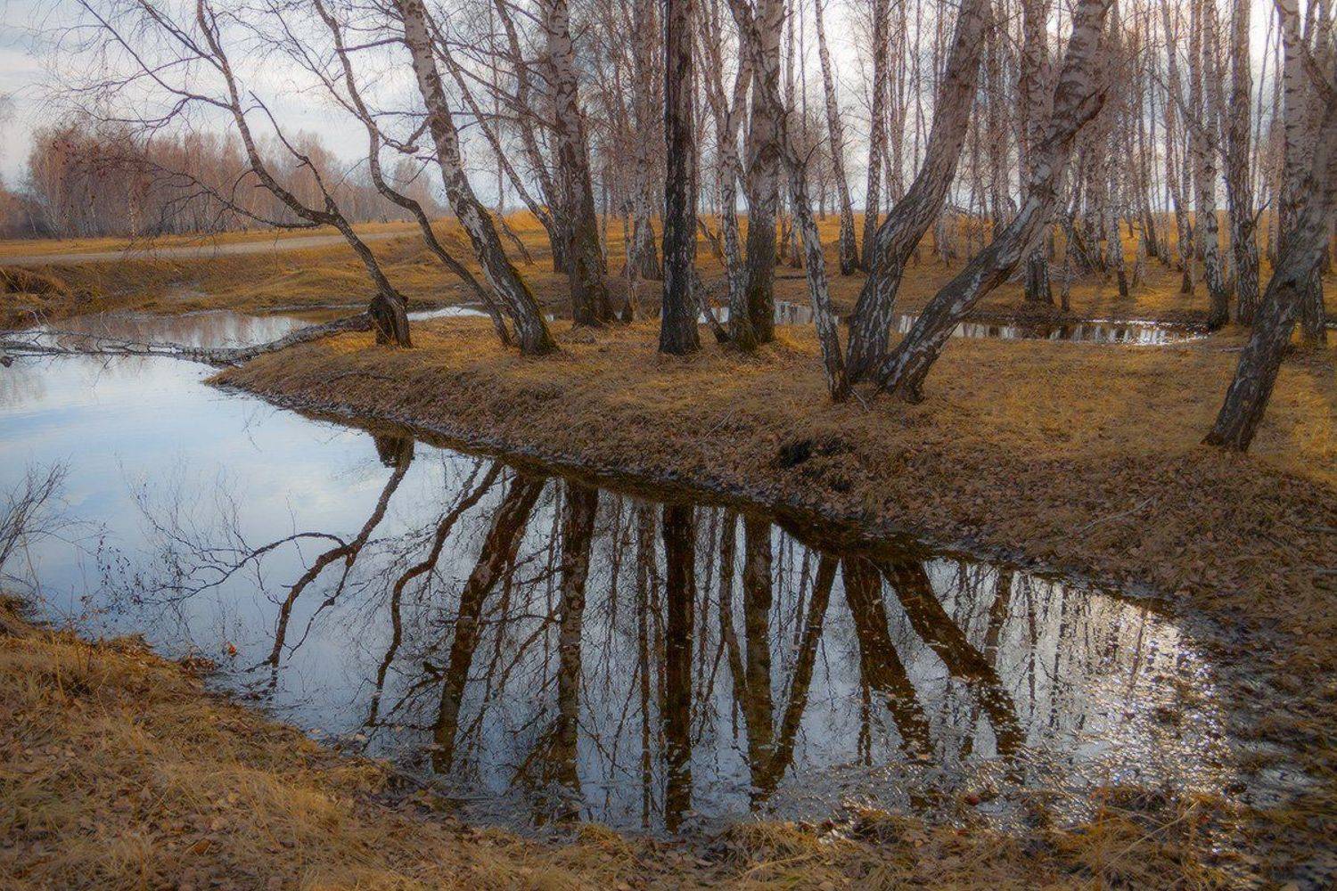 , Николай Морский