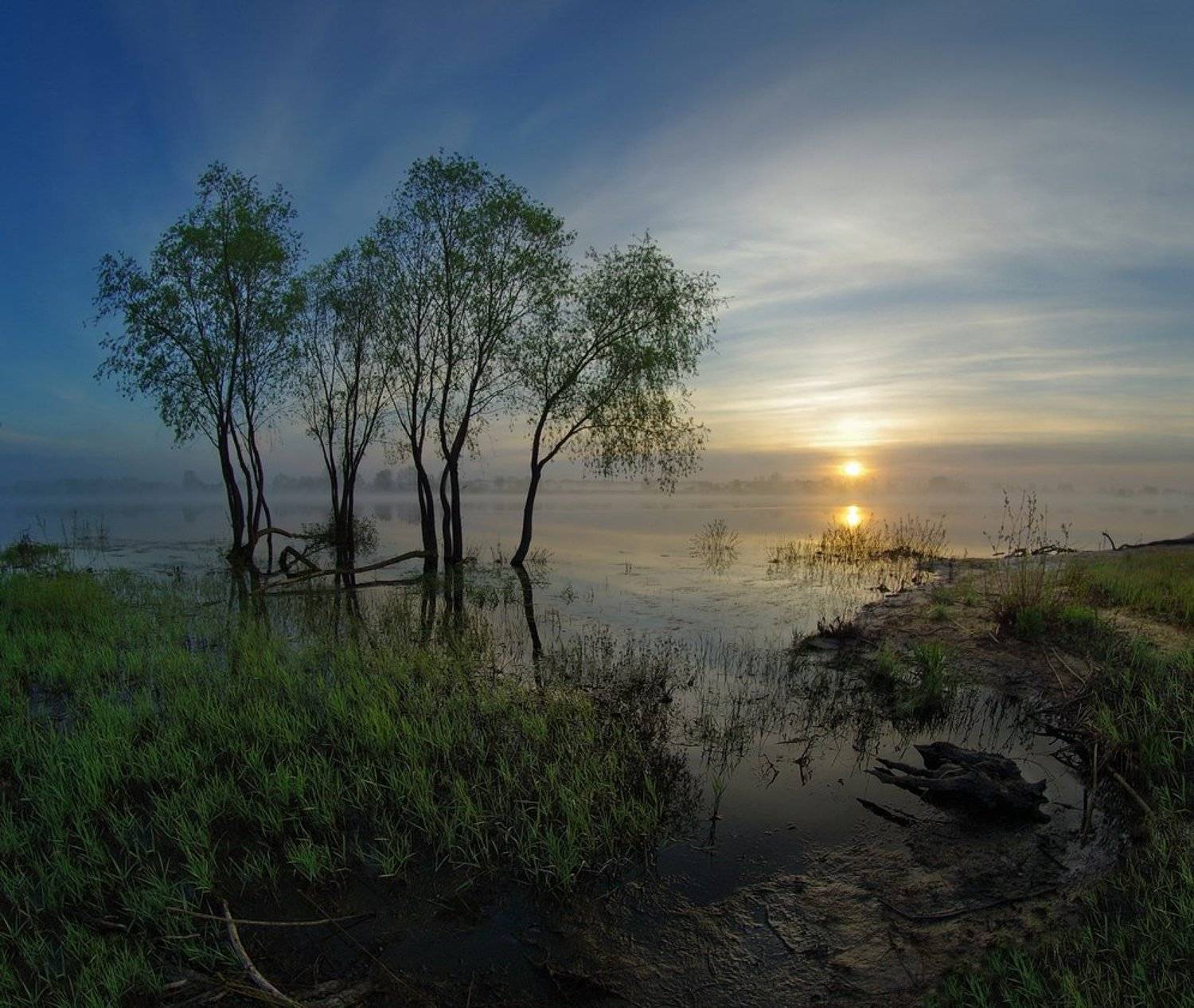 spring, belarus,sun, water, landscape, nature, morning, fog, весна, солнце, пейзаж, природа, утро, рассвет, туман, Сергей Шляга