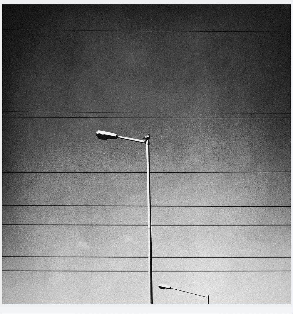 , Krzysztof Trojanowski