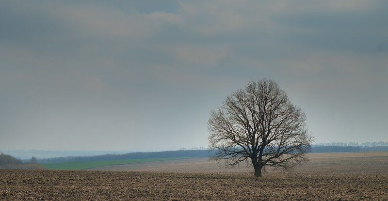 * фото превью