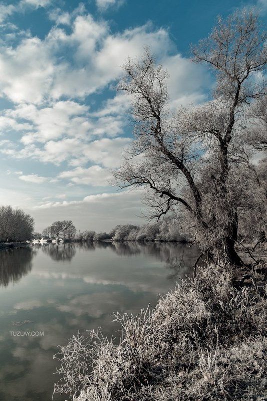 река кубань, заморозки, темрюк, ноябрь, таманский полуостров Ноябрьские заморозки 2011 фото превью