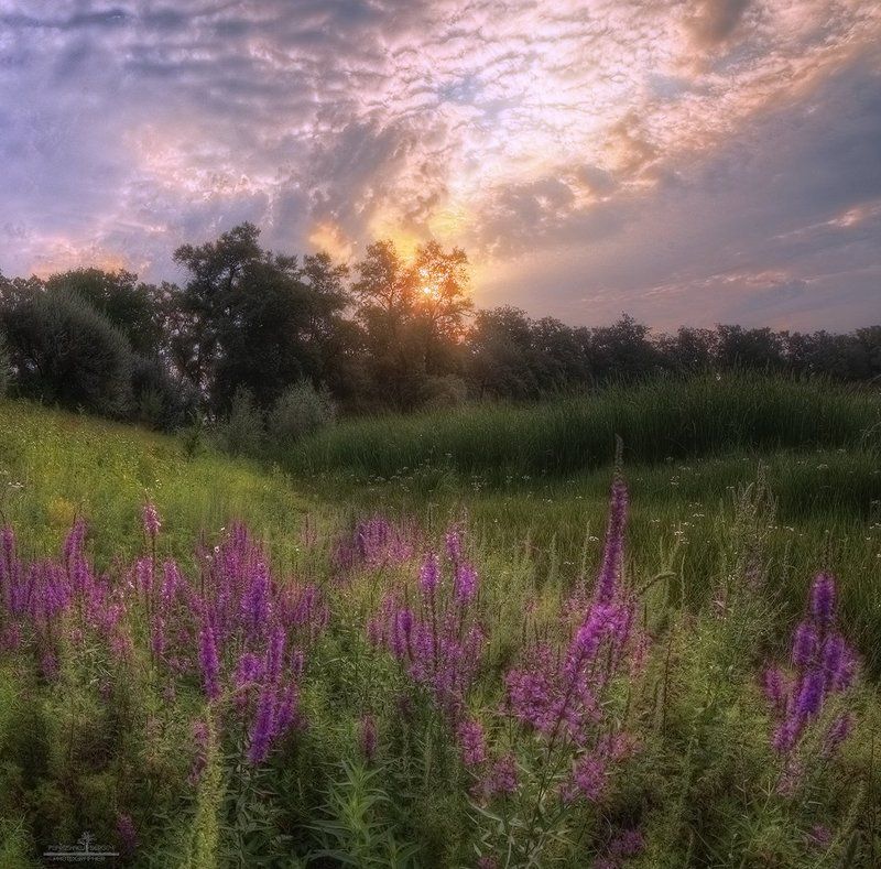 россия, волгоград Теплое утро фото превью