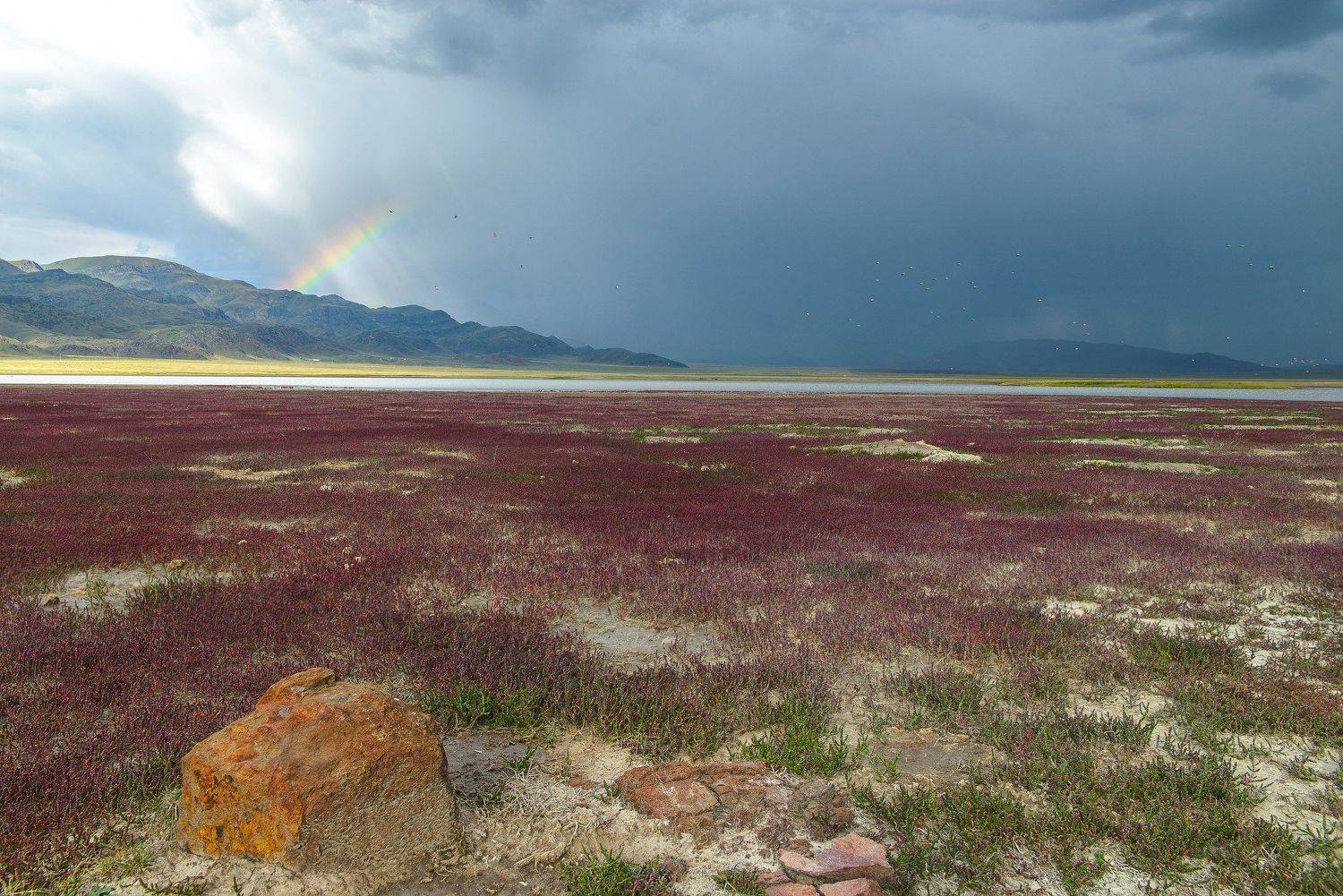 озеро, тузколь, Максим