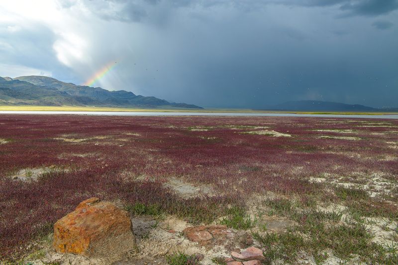 озеро, тузколь Радуга на озере Тузколь. фото превью