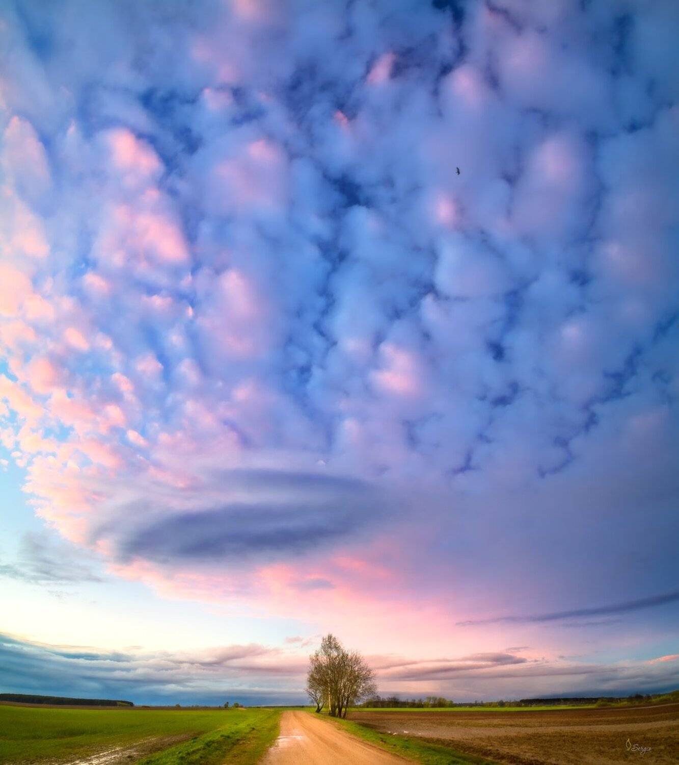 Беларусь, Серж Домбровский